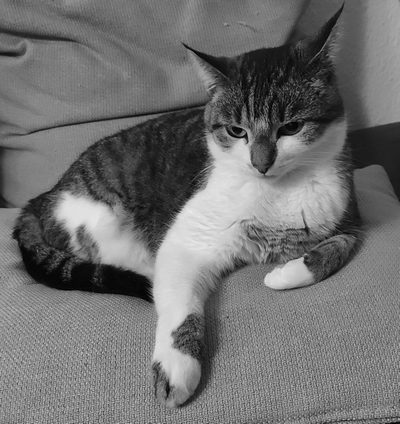 Minou - QualitätsManagement
